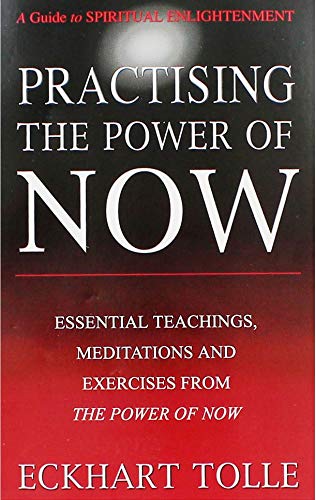 9781444703863: Practising the Power of Now