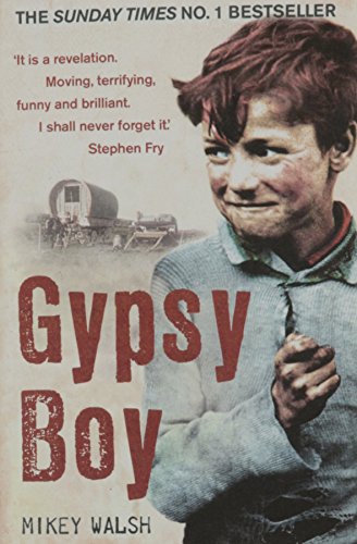 Beispielbild fr Gypsy Boy zum Verkauf von Better World Books