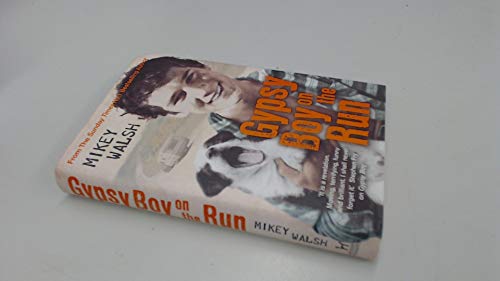 Beispielbild fr Gypsy Boy on the Run zum Verkauf von WorldofBooks