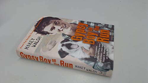 Imagen de archivo de Gypsy Boy on the Run a la venta por AwesomeBooks