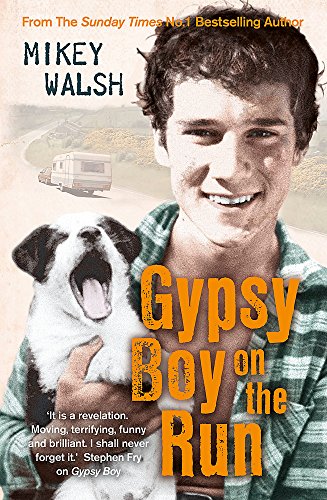 9781444720211: Gypsy Boy on the Run