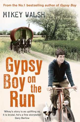 Imagen de archivo de Gypsy Boy on the Run a la venta por Better World Books