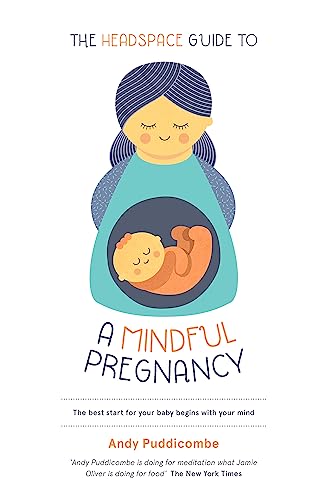 9781444722222: The Headspace Guide To...A Mindful Pregnancy: As Seen on Netflix