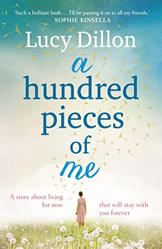 9781444727074: A hundred pieces of me: A gorgeous and uplifting summer read