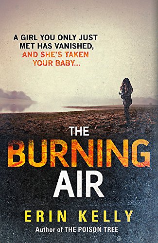 9781444728316: The Burning Air