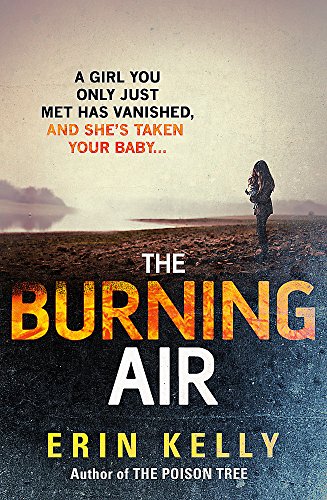 Beispielbild fr The Burning Air zum Verkauf von WorldofBooks