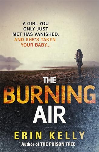 9781444728323: The Burning Air