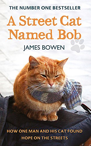 Imagen de archivo de A Street Cat Named Bob: How one man and his cat found hope on the streets a la venta por WorldofBooks