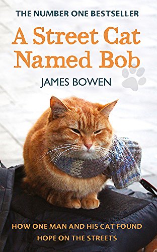 9781444737103: A Street Cat Named Bob: How one man and his cat found hope on the streets