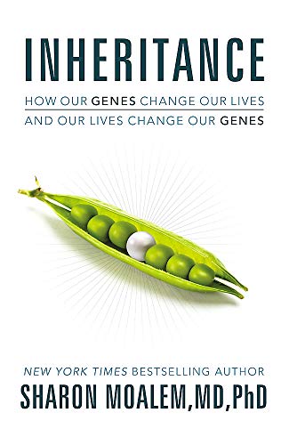 Beispielbild fr Inheritance: How Our Genes Change Our Lives, and Our Lives Change Our Genes zum Verkauf von WorldofBooks