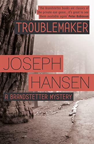 9781444784510: Troublemaker: Dave Brandstetter Investigation 3