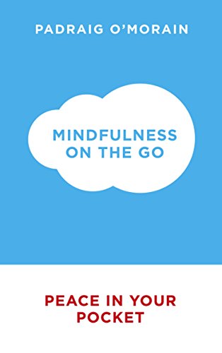 Beispielbild fr Mindfulness on the Go: Peace in Your Pocket zum Verkauf von Reuseabook