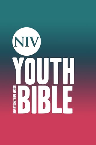 Beispielbild fr NIV Soul Survivor Youth Bible zum Verkauf von ThriftBooks-Dallas