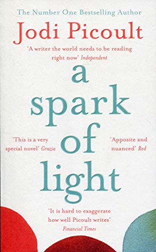 Stock image for A SPARK OF LIGHT* for sale by SecondSale