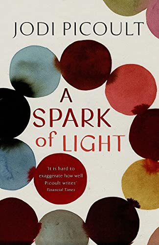 Beispielbild fr A Spark of Light: A Novel zum Verkauf von Hawking Books