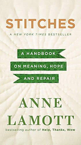 9781444789140: Stitches: A Handbook on Meaning, Hope, and Repair