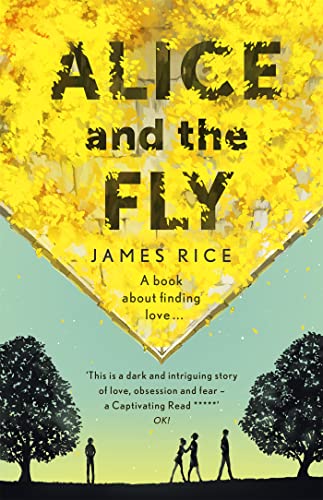 Beispielbild fr Alice and the Fly: 'a darkly quirky story of love, obsession and fear' Anna James zum Verkauf von WorldofBooks