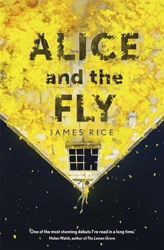 Beispielbild fr Alice and the Fly: 'a darkly quirky story of love, obsession and fear' Anna James zum Verkauf von WorldofBooks