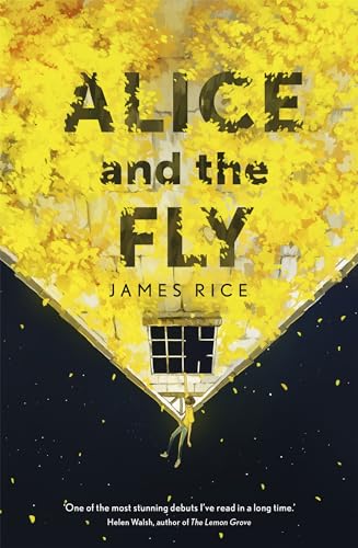 Imagen de archivo de Alice and the Fly: a darkly quirky story of love, obsession and fear Anna James a la venta por Reuseabook