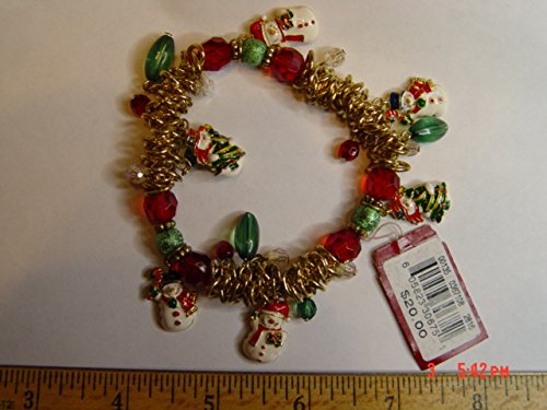 9781444815153: The Charm Bracelet