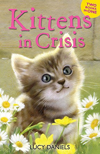 Stock image for Kittens in Crisis: Tabby in the Tub and Cats in the Caravan (Animal Ark) for sale by Reuseabook