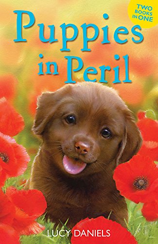 Imagen de archivo de Puppies in Peril: Pup at the Palace & Dog at the Door (Animal Ark) a la venta por AwesomeBooks