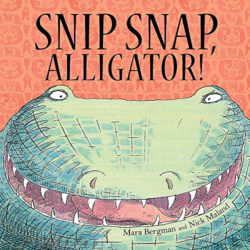 9781444914894: Snip, Snap Alligator!