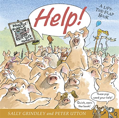 Beispielbild fr Help!: Lift-the-Flap Book zum Verkauf von WorldofBooks