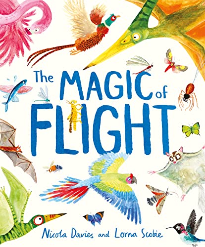 Beispielbild fr The Magic of Flight: Discover birds, bats, butterflies and more in this incredible book of flying creatures zum Verkauf von WorldofBooks