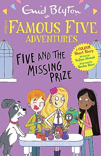 Stock image for Five and the Missing Prize for sale by Blackwell's