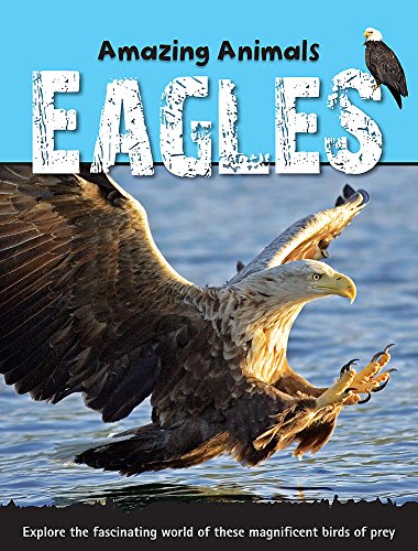 Beispielbild fr Amazing Animals: Eagles zum Verkauf von WorldofBooks
