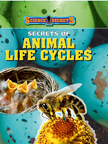 Secrets of Animal Life Cycles (9781445100760) by Andrew Solway