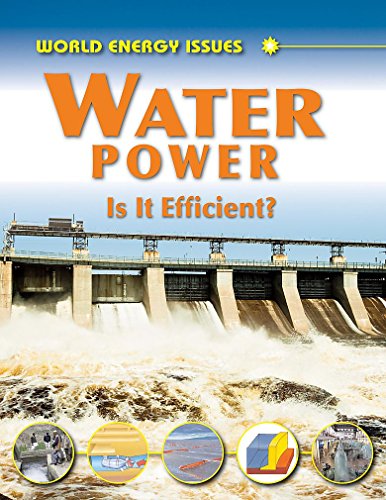 Water Power: Is It Efficient? (World Energy Issues) (9781445101941) by Jim Pipe