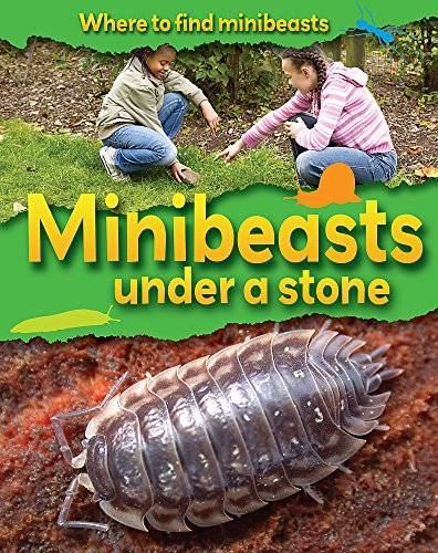 Beispielbild fr Where to Find Minibeasts: Minibeasts Under a Stone zum Verkauf von WorldofBooks