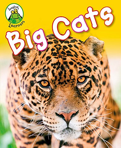 Big Cats (9781445103228) by Annabelle Lynch