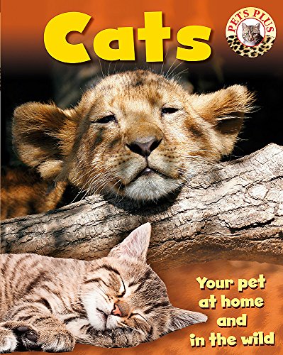 Cats (9781445105383) by Sally Morgan