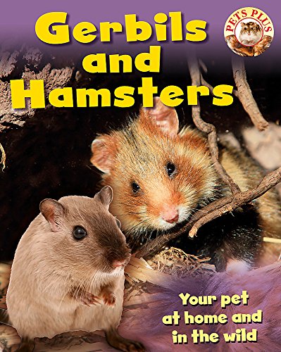9781445105420: Gerbils and Hamsters (Pets Plus)