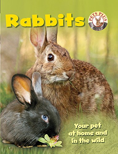 9781445105437: Rabbits (Pets Plus)