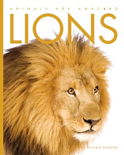 Imagen de archivo de Animals Are Amazing: Lions a la venta por WorldofBooks