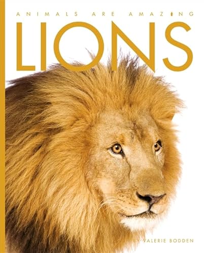 9781445110837: Lions (Animals Are Amazing)