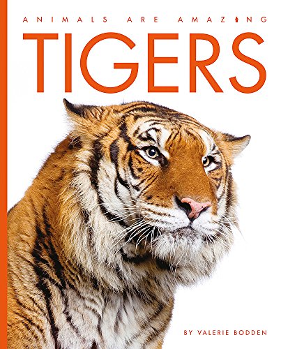 Beispielbild fr Animals Are Amazing: Tigers zum Verkauf von WorldofBooks