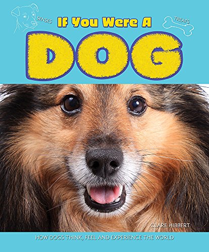 If You Were a Dog (9781445118703) by Hibbert, Clare
