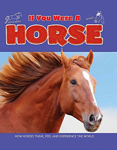 Beispielbild fr If You Were A: Horse zum Verkauf von WorldofBooks