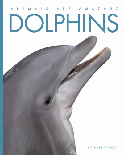 Stock image for Animals Are Amazing: Dolphins for sale by WorldofBooks