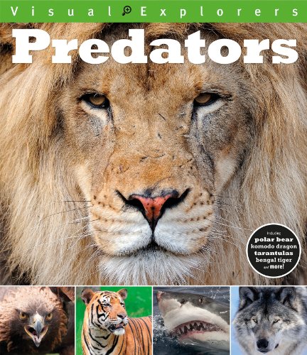 Beispielbild fr Visual Explorers: Predators zum Verkauf von WorldofBooks