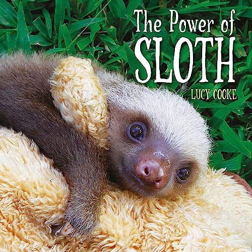 Stock image for The Power of Sloth for sale by Better World Books Ltd