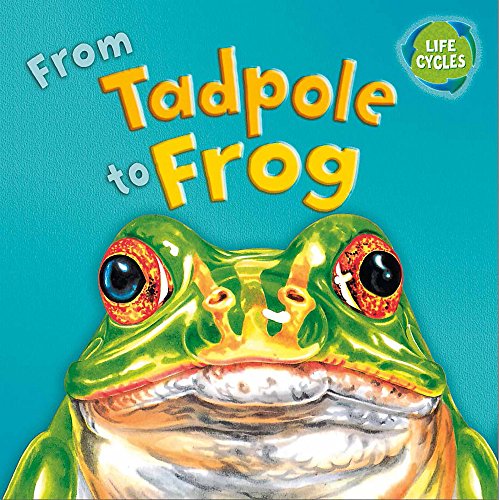 9781445129525: From Tadpole To Frog (Lifecycles)