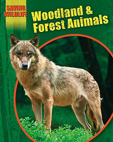 Stock image for Woodland and Forest Animals for sale by Better World Books