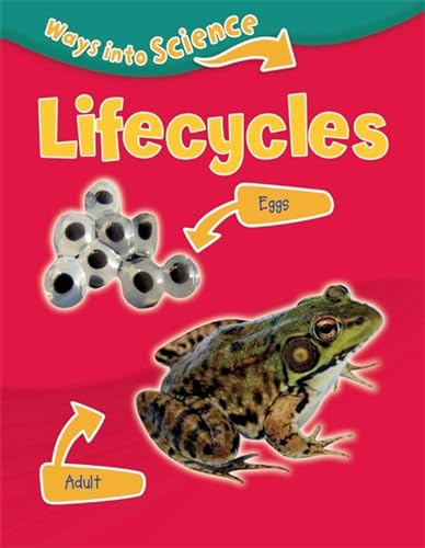 9781445134833: Lifecycles (Ways Into Science)