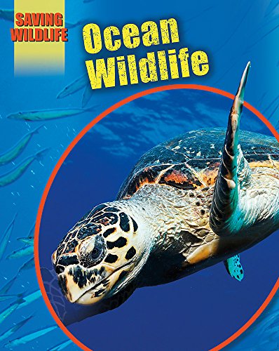 9781445136585: Ocean Wildlife (Saving Wildlife)